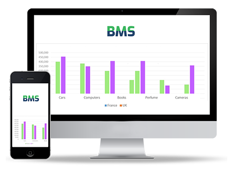 business-management-software-slide